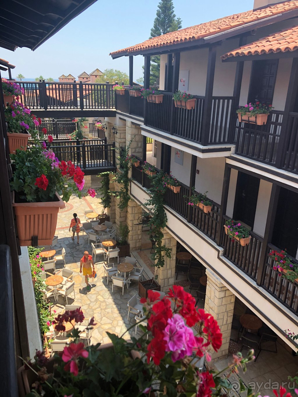 Если вы пара без детей, не нужно выбирать Paloma Grida)))