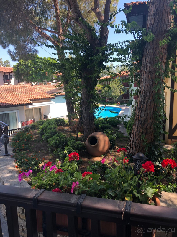 Если вы пара без детей, не нужно выбирать Paloma Grida)))