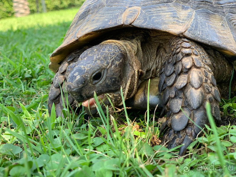 Прекрасный отель для семейного отдыха