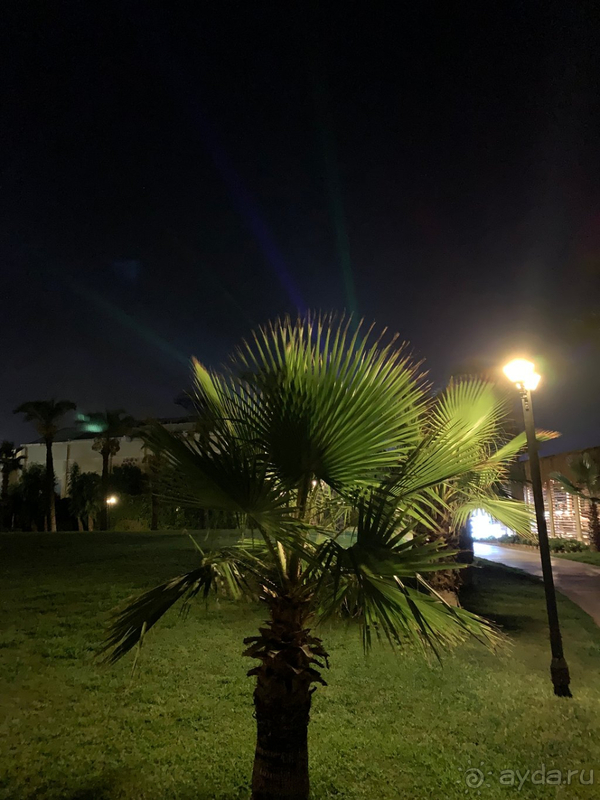 Прекрасный отель для семейного отдыха