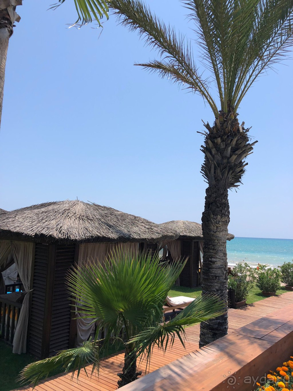 Alva Donna Exclusive - класс!