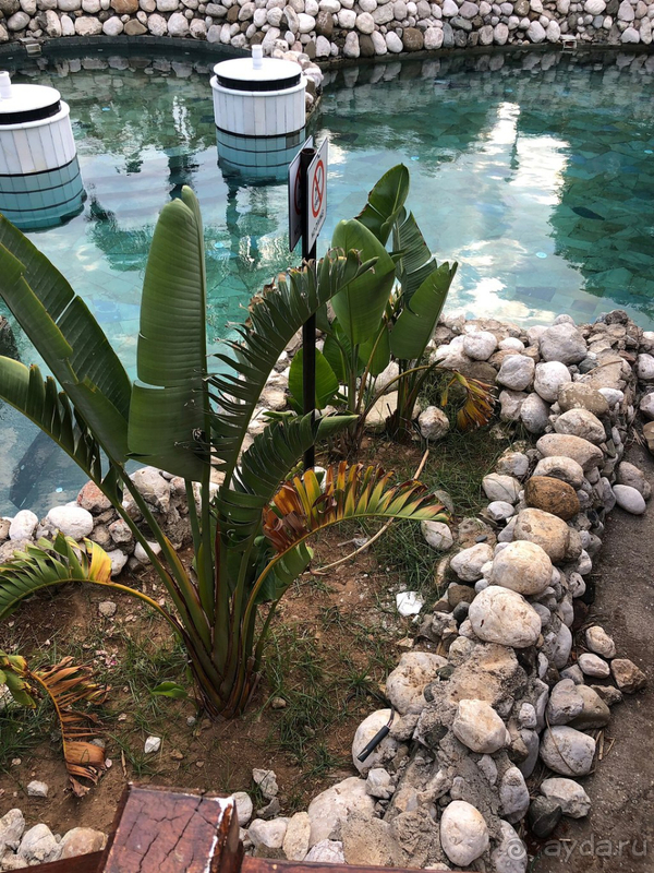 Alva Donna Exclusive - класс!