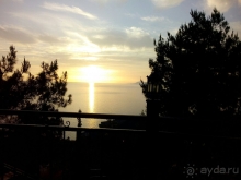 "Утопия" утопает в зелени и цветах!