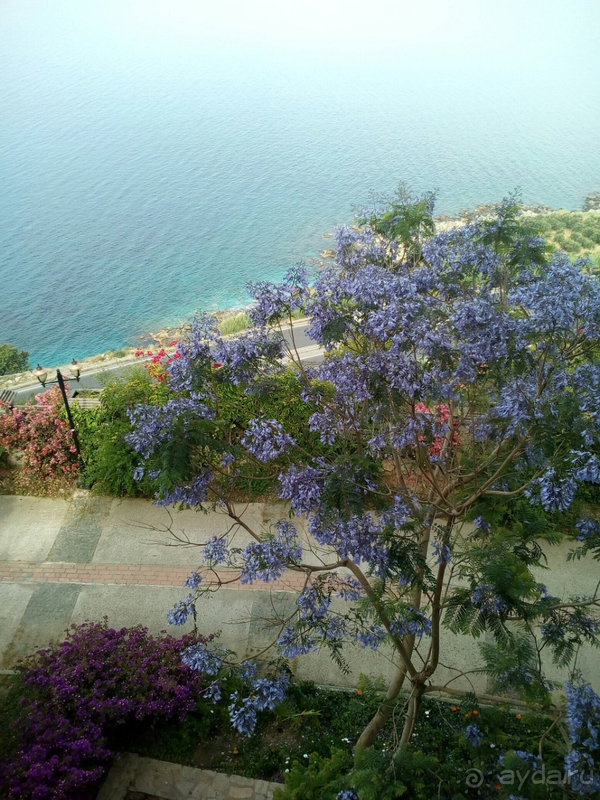 "Утопия" утопает в зелени и цветах!