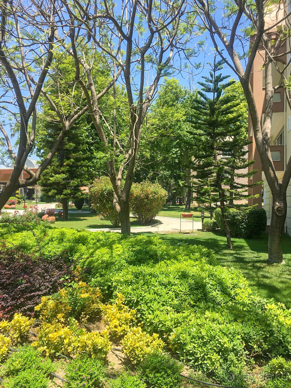 Сейчас выбрала бы в этой ценовой категории другой отель