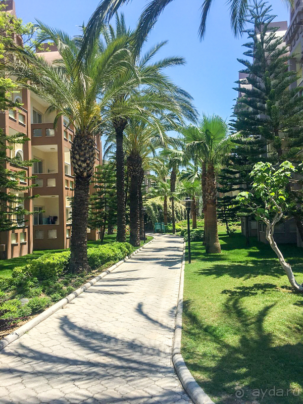 Сейчас выбрала бы в этой ценовой категории другой отель