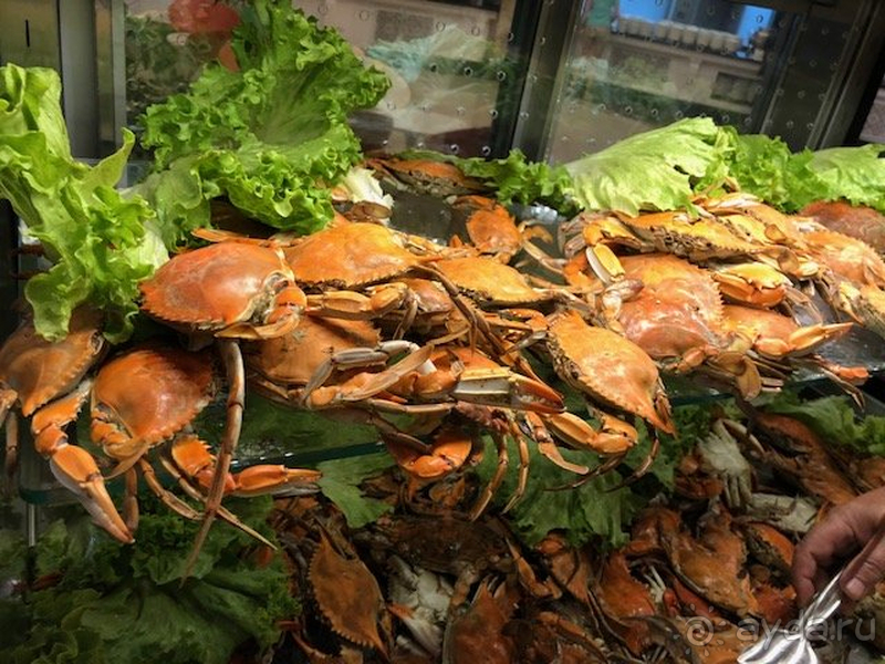 Замечательный отель для отдыха с детьми