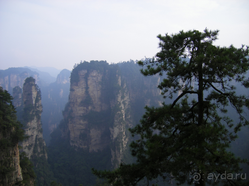 Удивительные горы Чжанцзяцзе