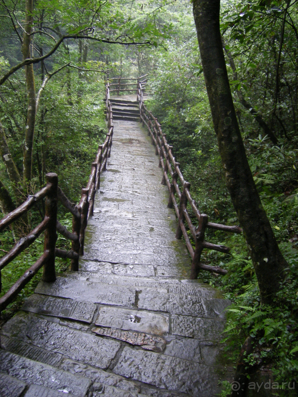 Удивительные горы Чжанцзяцзе