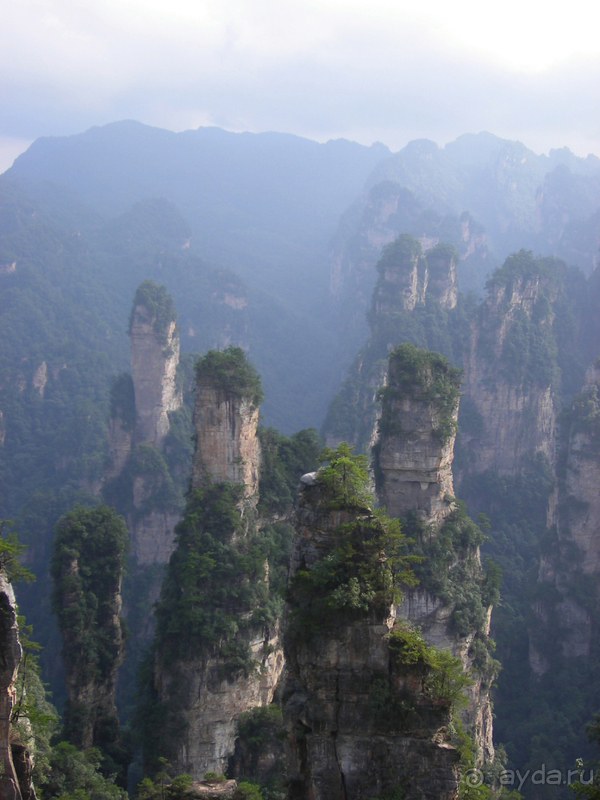 Удивительные горы Чжанцзяцзе