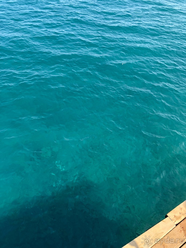 Вполне себе хороший отель, но хотелось бы вкуснее отдохнуть)