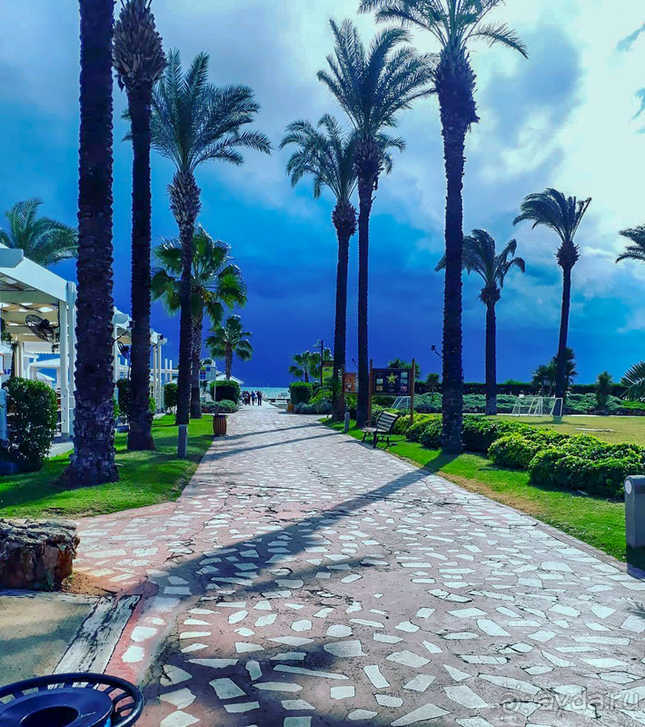 3 недели прекрасного отдыха!!!