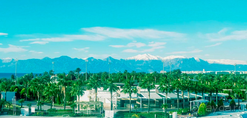 3 недели прекрасного отдыха!!!