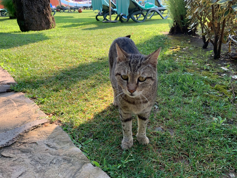 Отель не де люкс и не стоит своих денег.