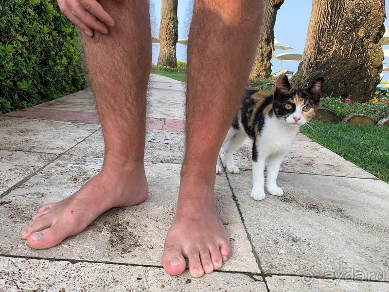 Отель не де люкс и не стоит своих денег.