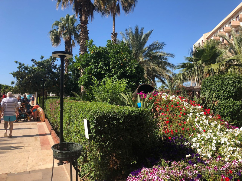 Отелем в целом очень довольны