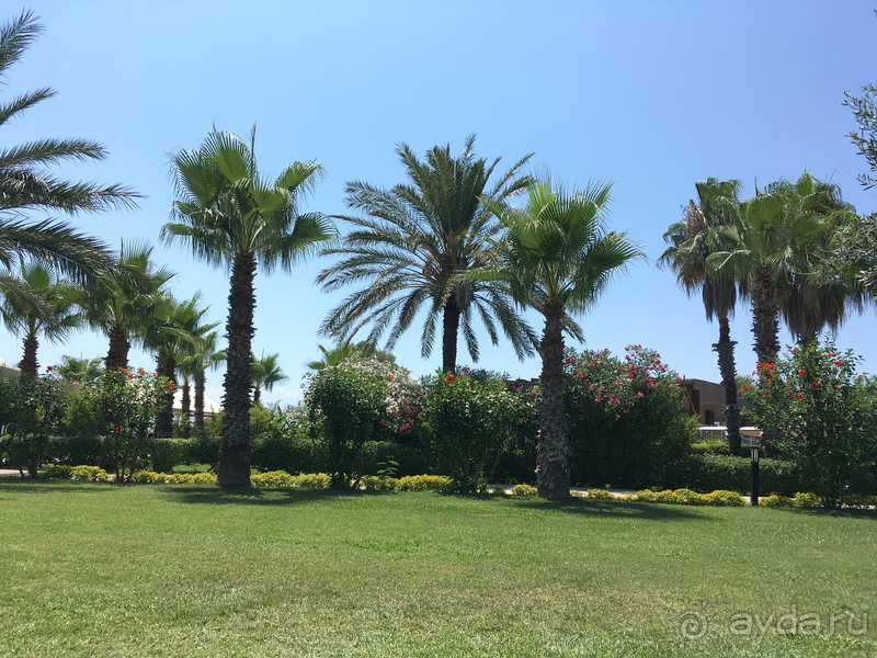 Супер отдых в отеле Kaya Belek