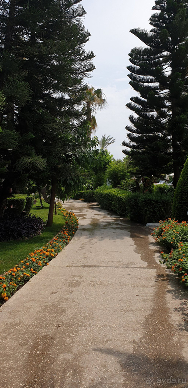 Лучший отель за 5 лет!