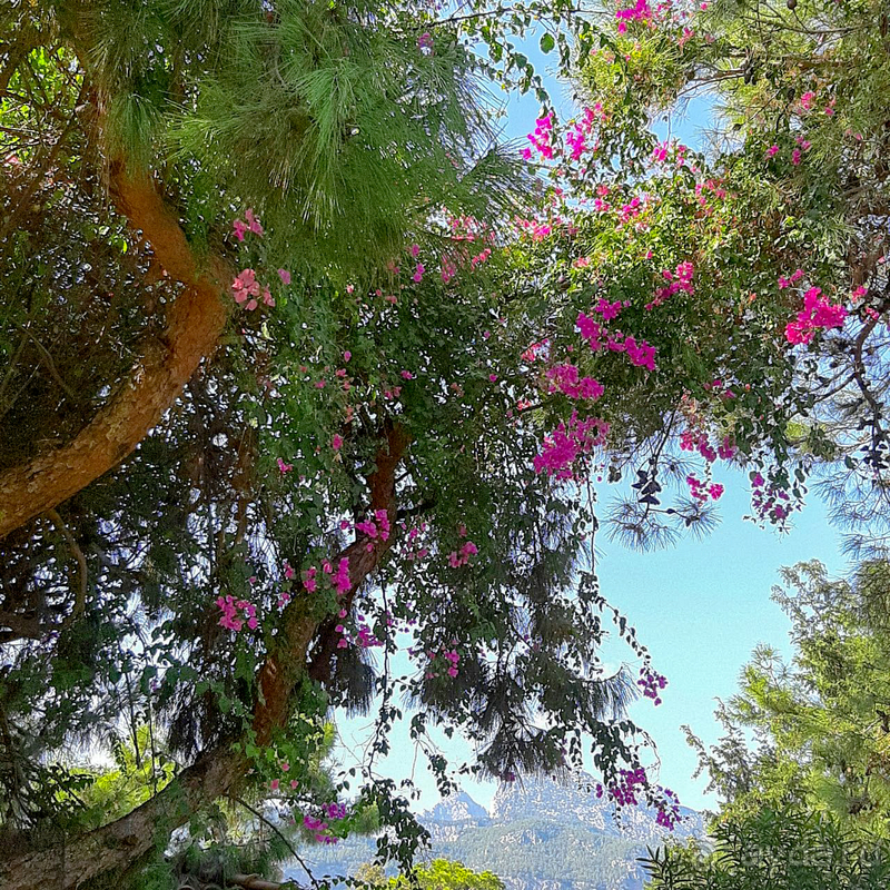 Отдых в отеле с семьёй в середине октября. 