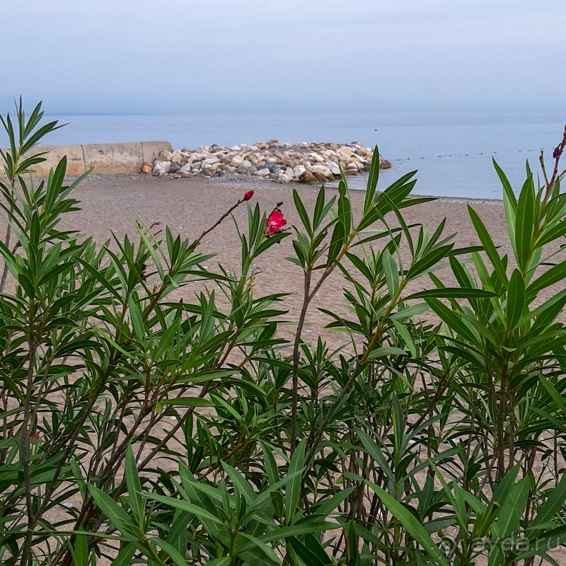 Отдых в отеле с семьёй в середине октября. 