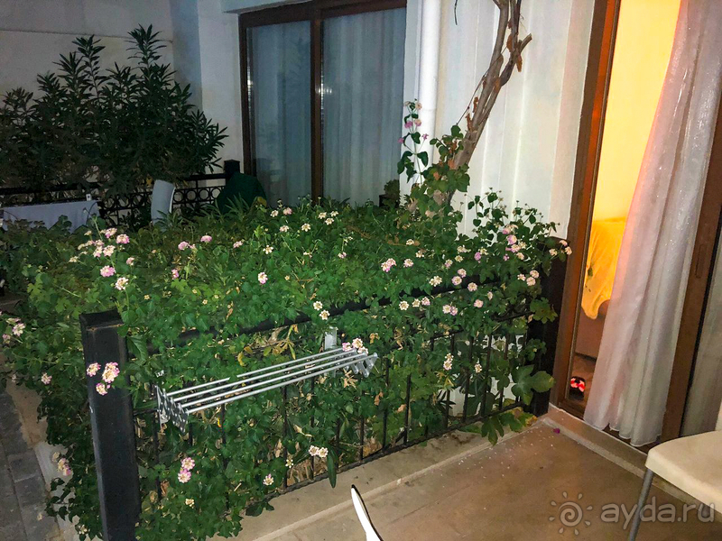 Армас Лабада Бич - хорошо, но есть нюансы