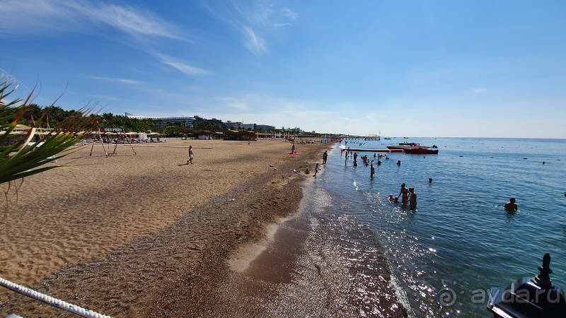 Среди Дельфинов в Анталии Дельфин Палас - лучший!