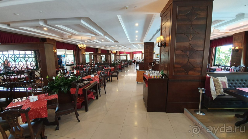 Среди Дельфинов в Анталии Дельфин Палас - лучший!