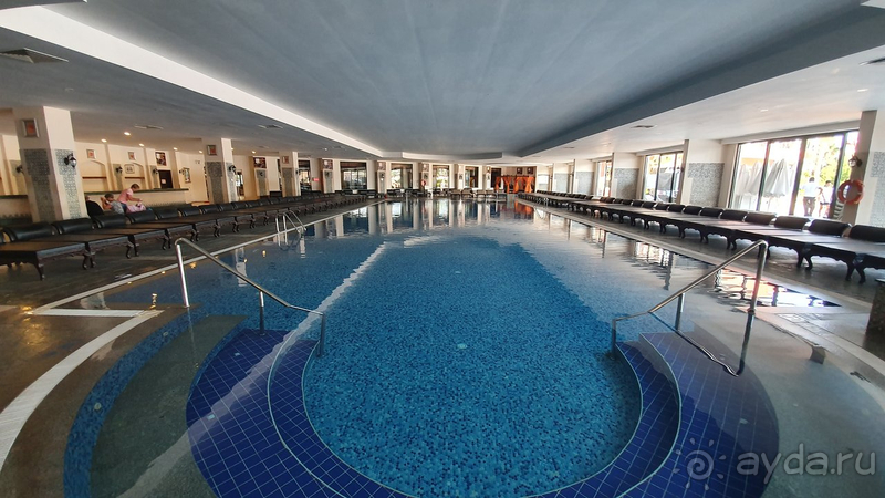 Среди Дельфинов в Анталии Дельфин Палас - лучший!