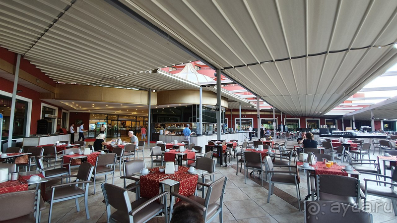 Среди Дельфинов в Анталии Дельфин Палас - лучший!