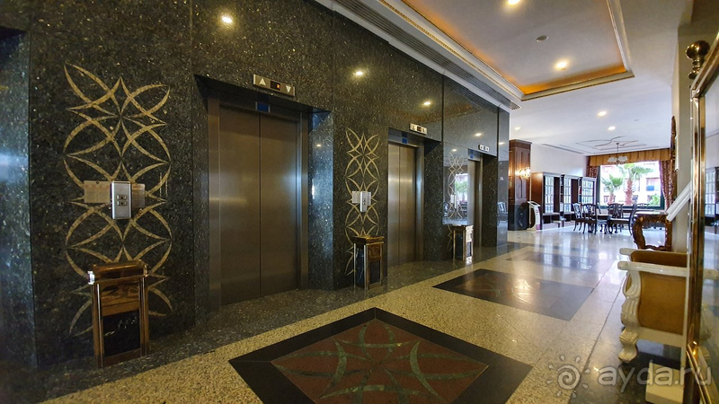 Среди Дельфинов в Анталии Дельфин Палас - лучший!