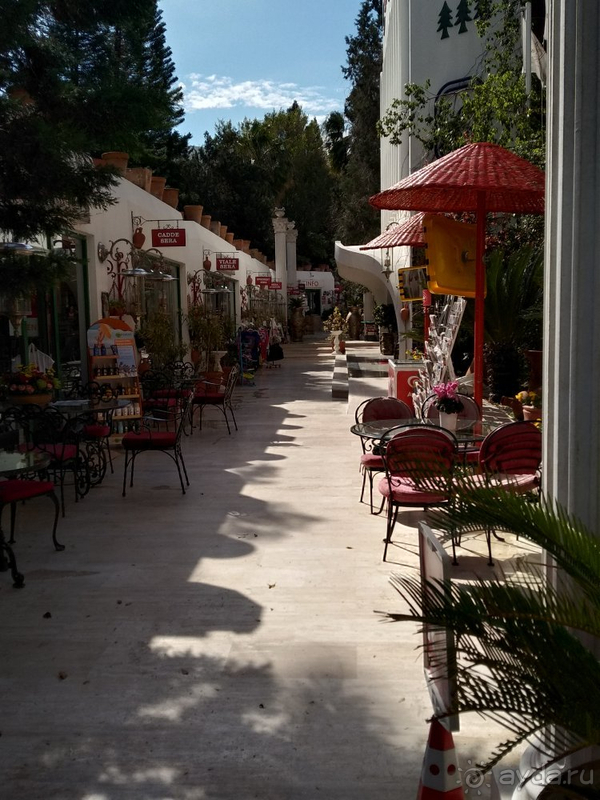 Прекрасный отдых рядом с аэропортом.