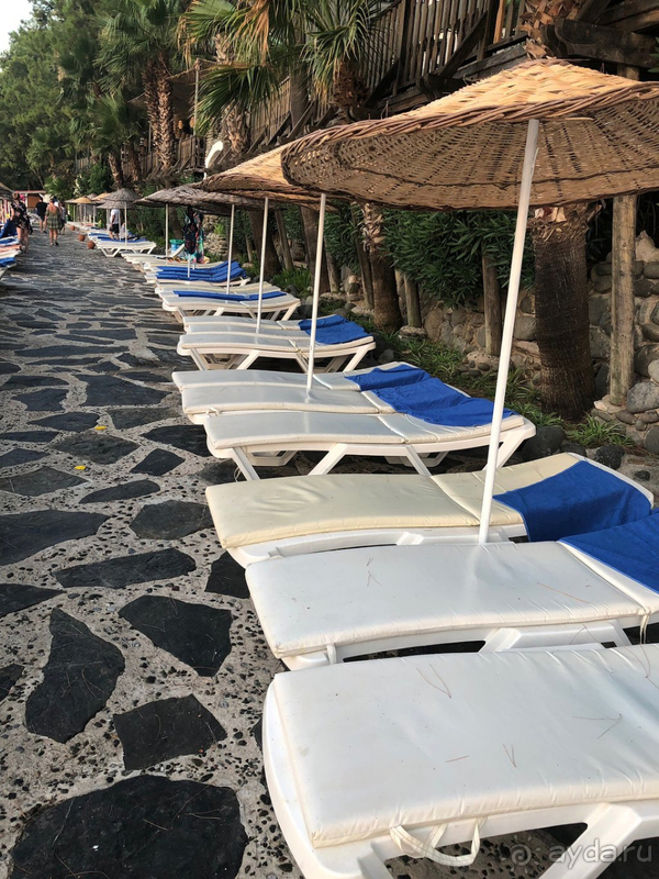 Отель выигрывает благодаря расположению и природе