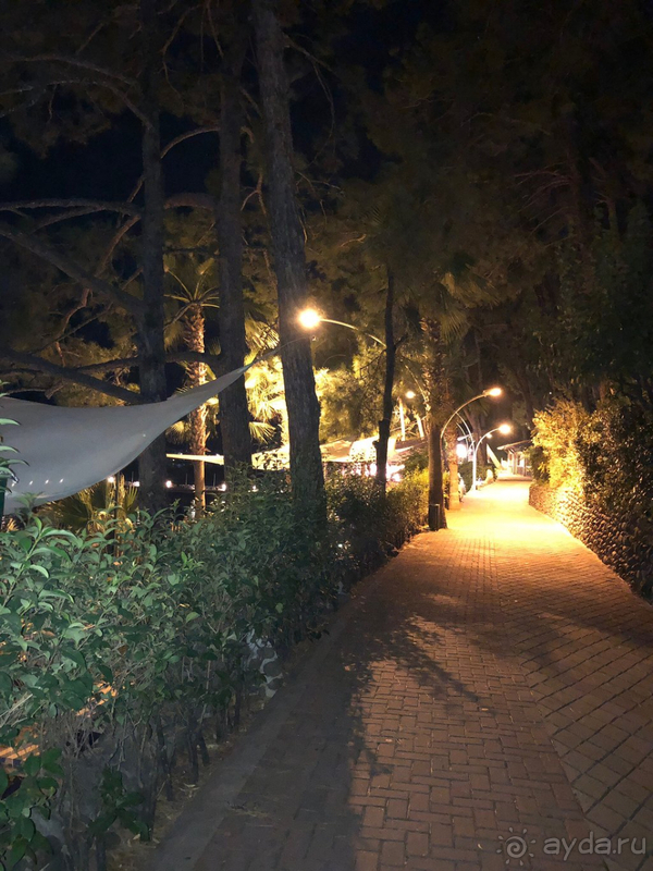 Отель выигрывает благодаря расположению и природе