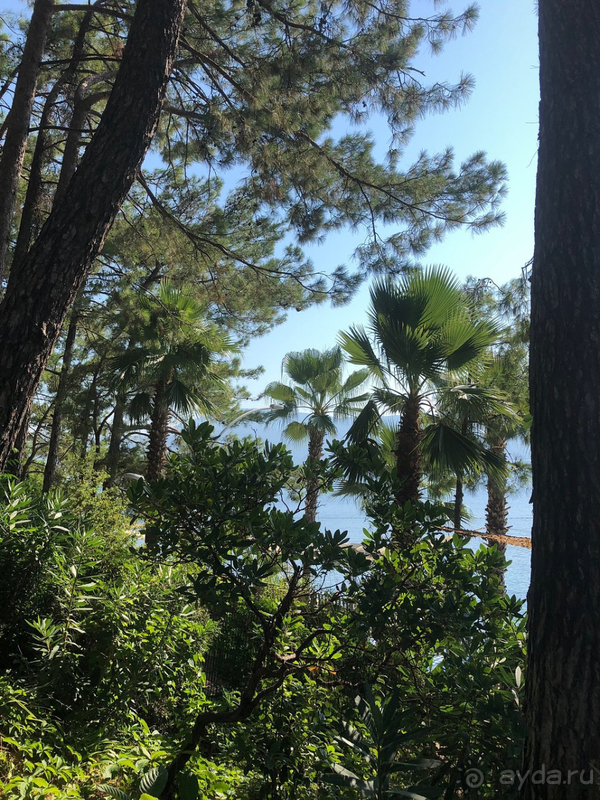 Отель выигрывает благодаря расположению и природе