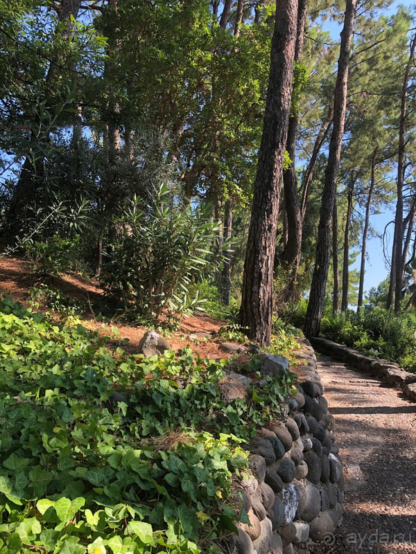 Отель выигрывает благодаря расположению и природе