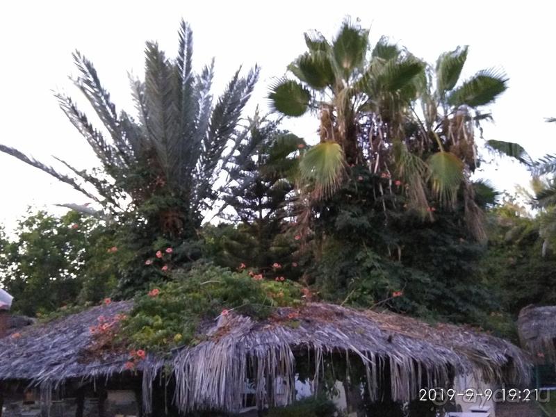 Стойкое ощущение, что ты в Анапе или Геленджике