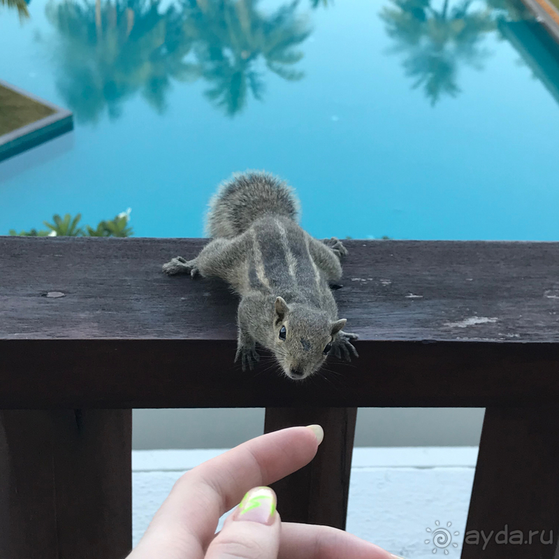 Если вы хотите спокойный отдых, то это место для вас