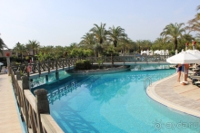 Royal Wings - СУПЕР!