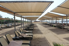 Royal Wings - СУПЕР!