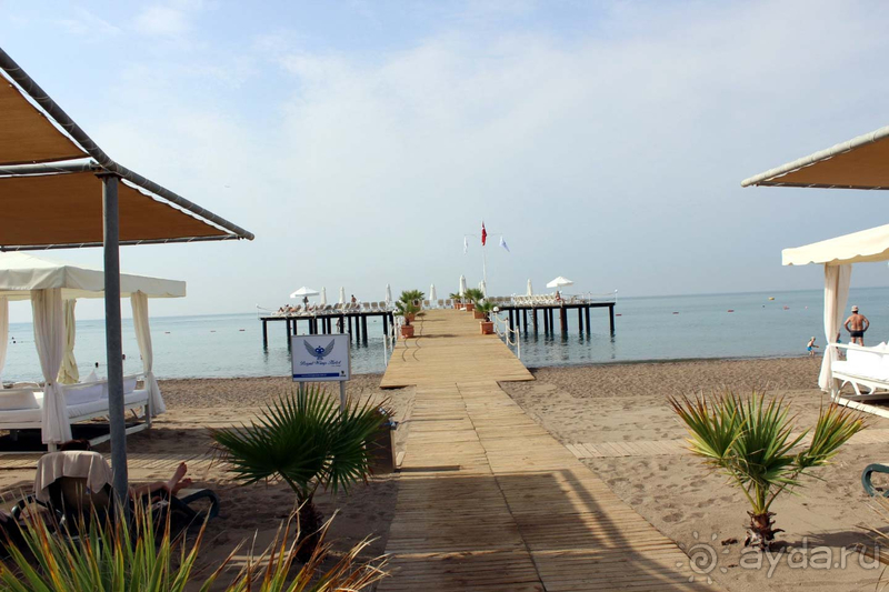 Royal Wings - СУПЕР!