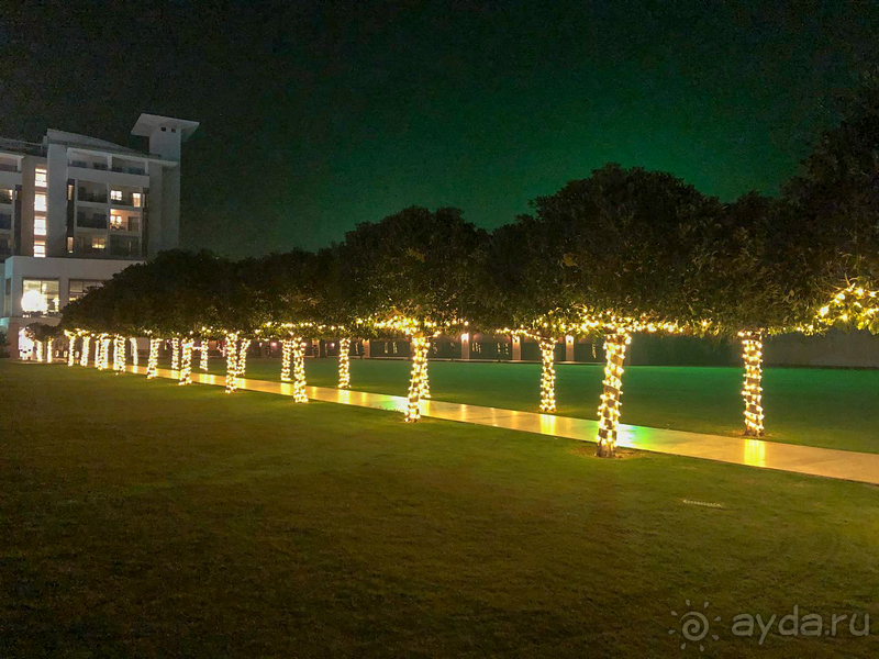 Лишь о двух вещах мы будем жалеть: о том, что мало любили и мало путешествовали.