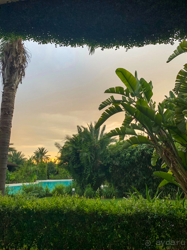 Лучший отдых в Макс Роял!!!