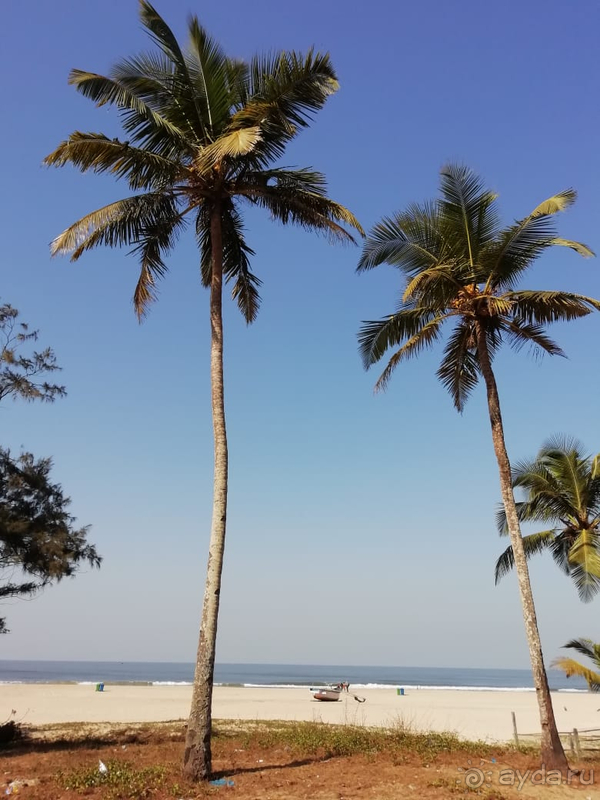 Погружение в Индию: начнем с Болливуда!