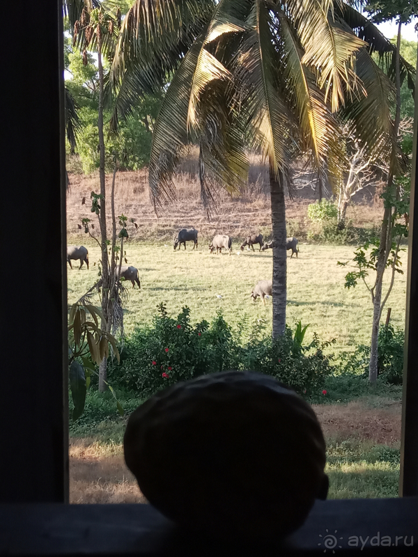 Погружение в Индию: начнем с Болливуда!