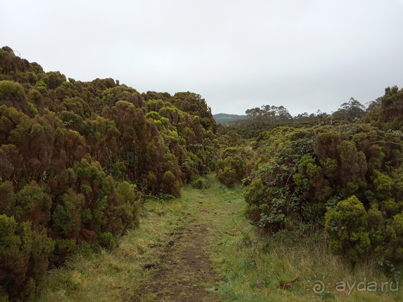 Альбом истории "За мечтой на Азорские острова!"