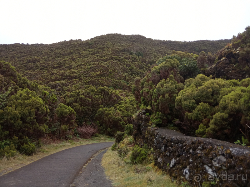 Альбом истории "За мечтой на Азорские острова!"