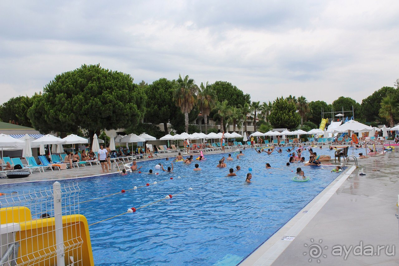 фото Master Family Club