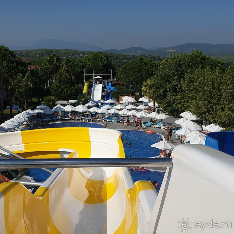 5* не пахнет!