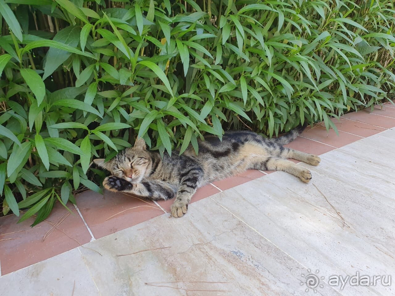 Туркуаз Отель - европейское качество!