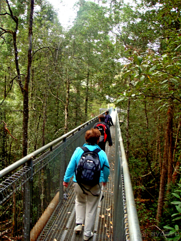 Австралия. Тасмания
